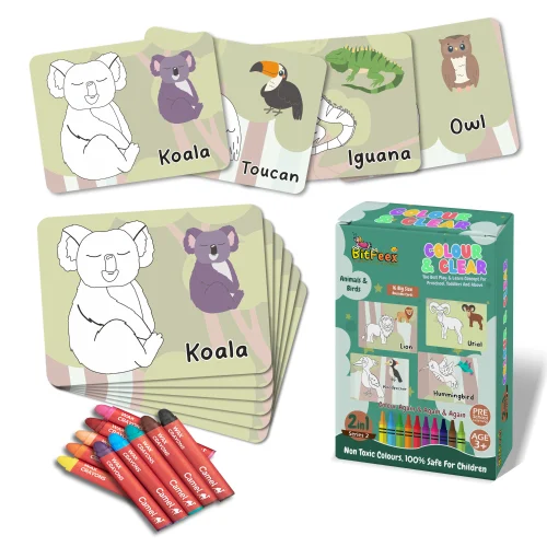 Reusable Preschool Cards
